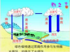 苏教版七下  4.10.2 生物圈中的水循环 教学设计+教学方法