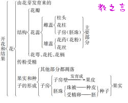 截图202507221706021154.png