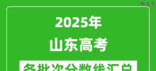 2025年山东高考各批次分数线汇总（含一本,二本,专科分数线）