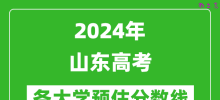 2024山东高考省内外各大学预估分数线汇总（含预估位次和分数线）