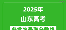2025年山东高考分数线：特招线521分、一段线441分