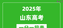 2025年山东高考一分一段表_夏季高考文化成绩位次表