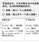 小学英语语法系统总结！干货